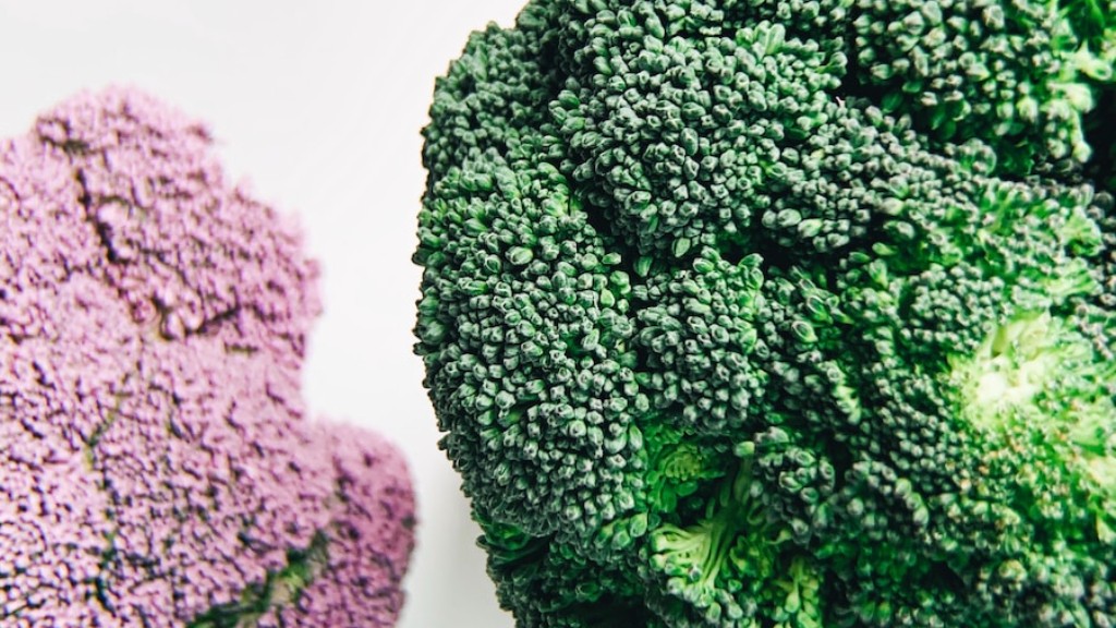 Kunnen leguanen broccoli eten?