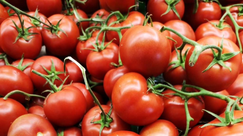 Hoe lang kook je tomaten voor het inblikken