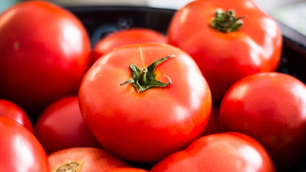 Is veenmos goed voor tomaten?
