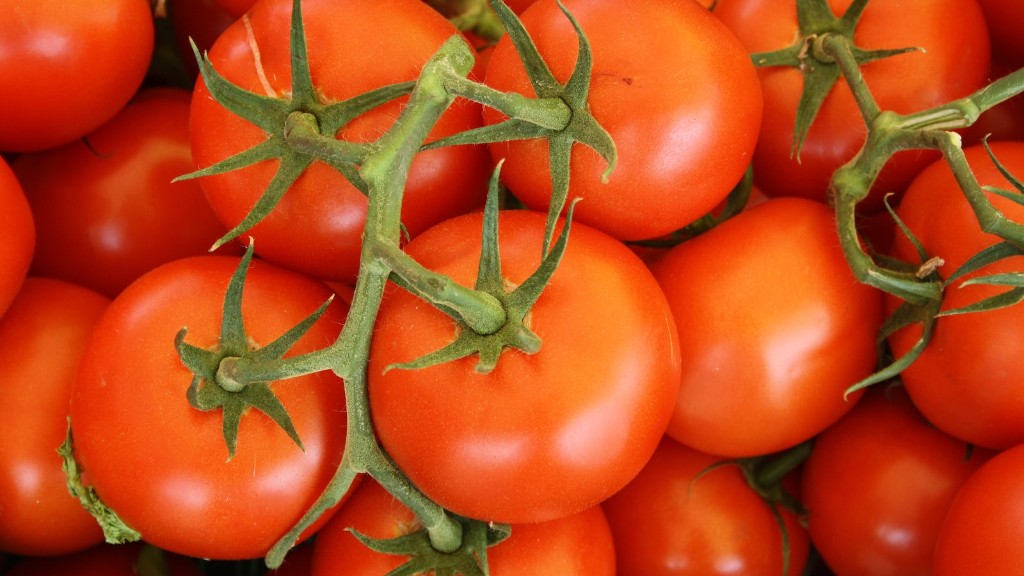 Hoe lang kun je verse tomaten in de vriezer bewaren?